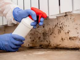 Best Residential Mold Inspection & Testing  in USA